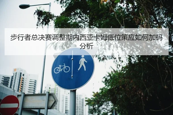 bu-xing-zhe-zong-jue-sai-tiao-zheng-qi-nei-xi-ya-ka-mu-di-wei-ce-ying-ru-he-jia-ma-fen-xi-2-210.jpg