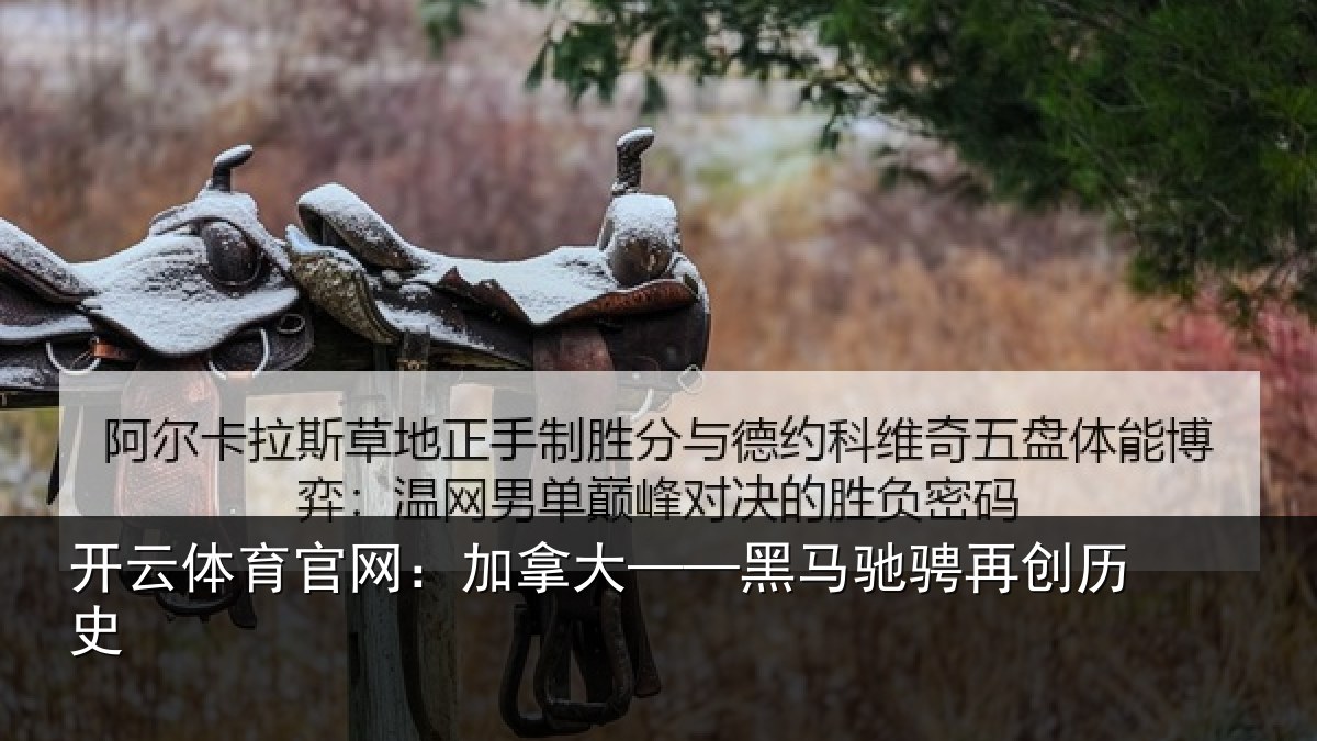 开云体育官网：加拿大——黑马驰骋再创历史