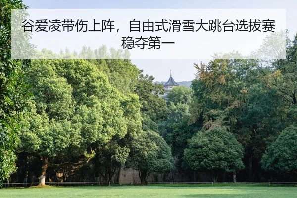 谷爱凌带伤上阵，自由式滑雪大跳台选拔赛稳夺第一