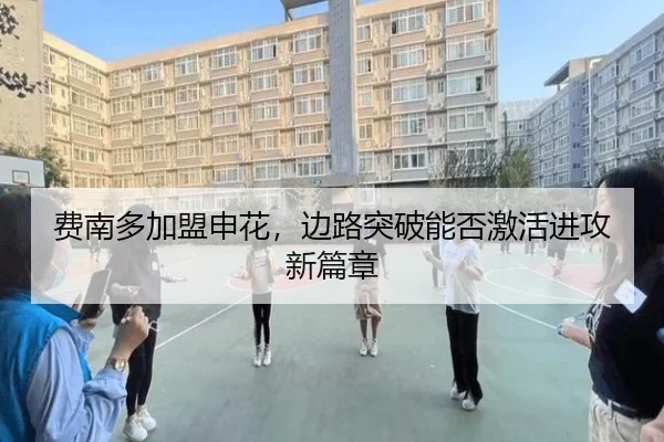 费南多加盟申花，边路突破能否激活进攻新篇章